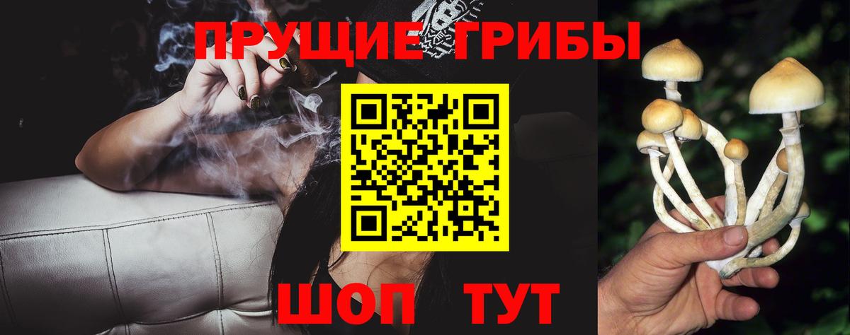 Псилоцибиновые грибы Psilocybine cubensis Ртищево